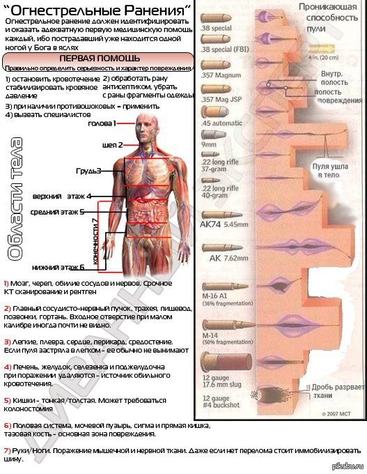Зоны ранения. Виды огнестрельных ранений. Смертельные пулевые ранения. Статистика огнестрельных ранений.
