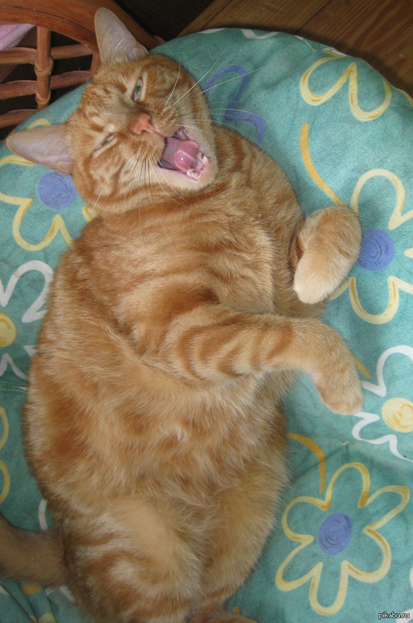 ��� ��� ��� ����������, ��� � - �� ���������� ����������