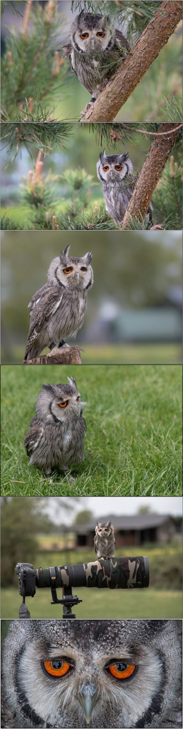 �������� ������