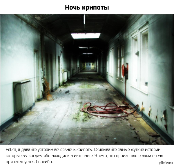 ���� �������