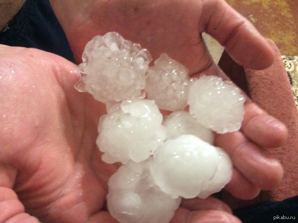 ����������, ����!