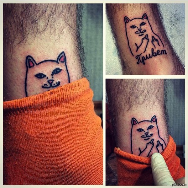 Hi Hi) - Tattoo, Hairy legs