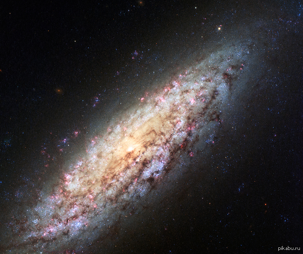    NGC 6503    NGC 6503,     ,           .