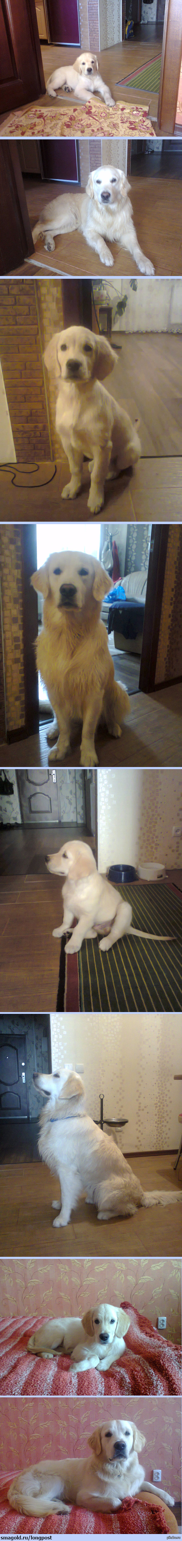 ��� ������� 1 ���)