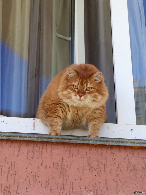      !            