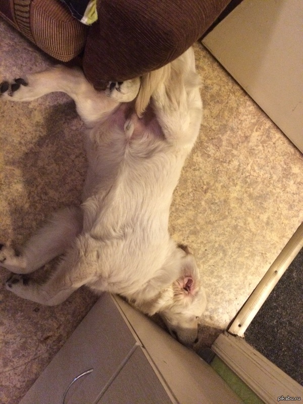 ������� � ���� ����� ���