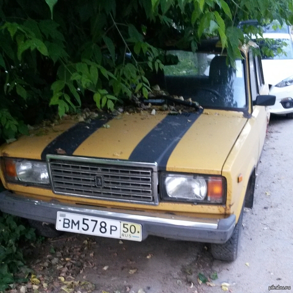 ������� ��� �� ���