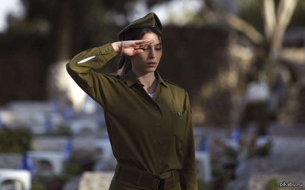 ����� ������� �������