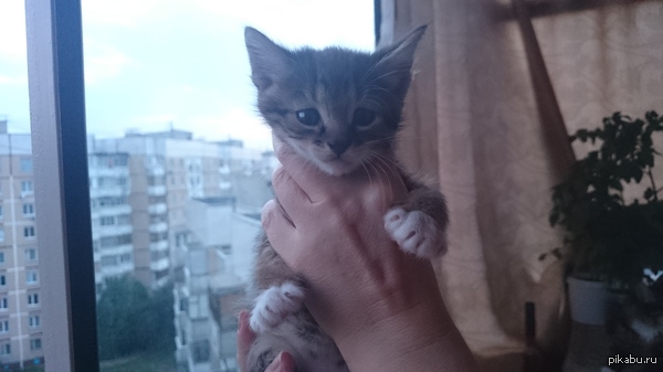    !.
