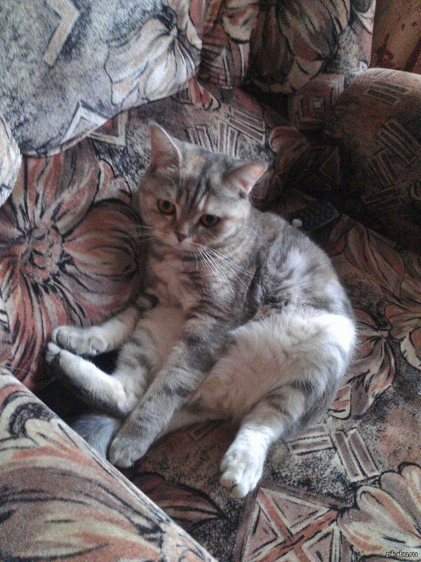 "����� ������ ���? ��� ��� �����? ��� ������ �����? ��� �� ����� ��������?"