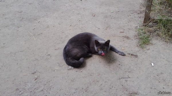 Удачно поймал