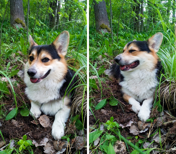 Когда прогулка действительно в удовольствие