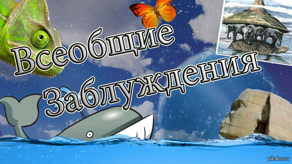 ����� ���������������� ������� �����������