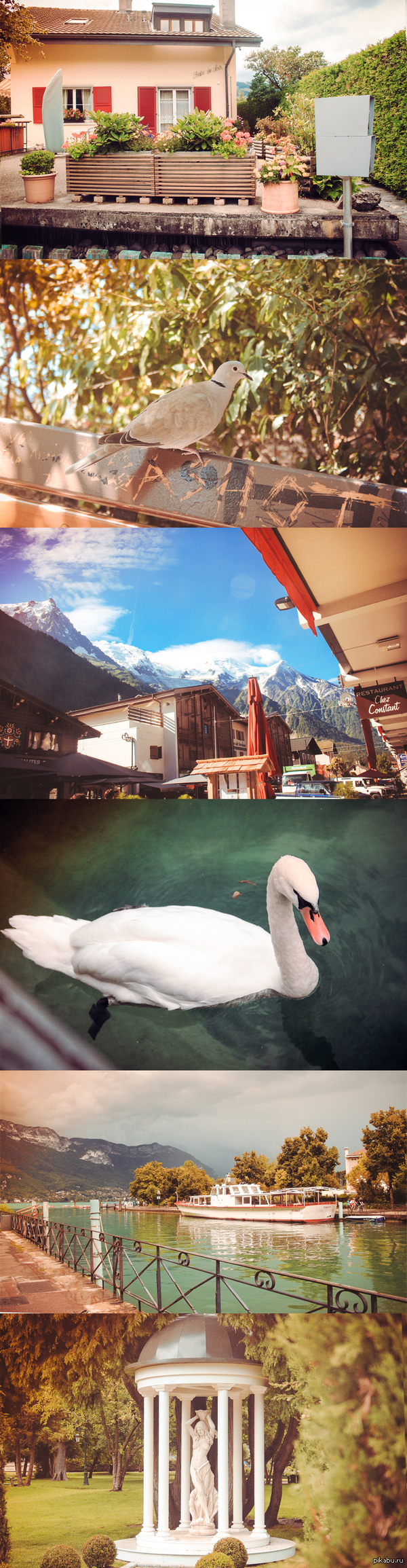 Подборка фотографий