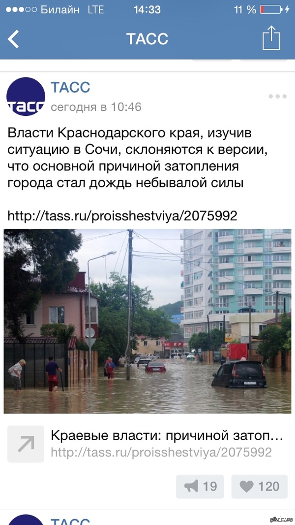 ������������ �����������