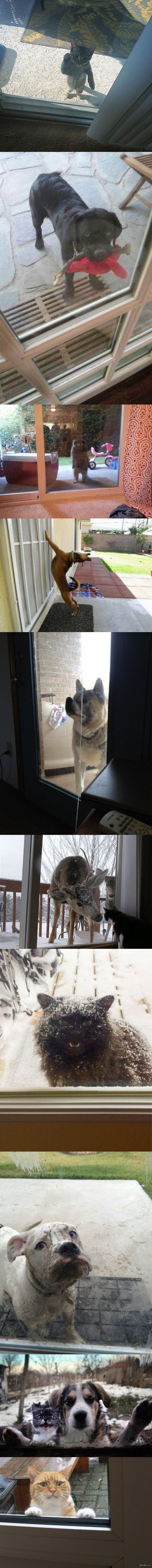 �� ������...