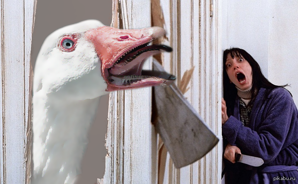 �������� ����