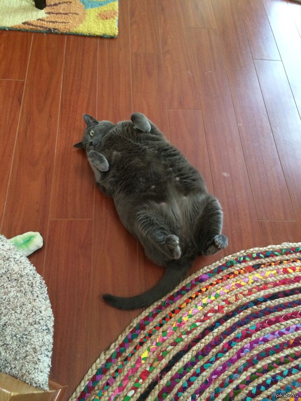 ������ �������!))