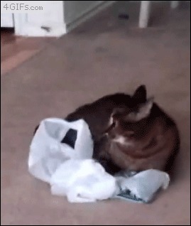 &quot;       &quot;