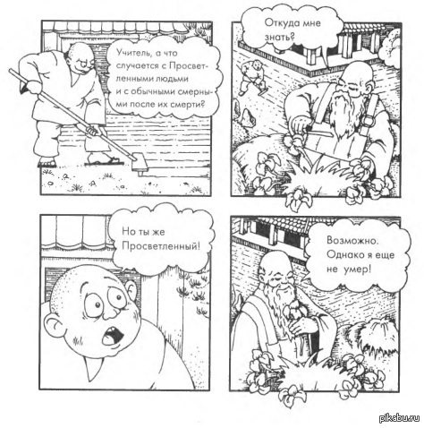 Дзен. | Пикабу