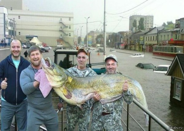 ������� ��� ����� �� ������.