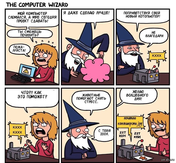 ������������ �����