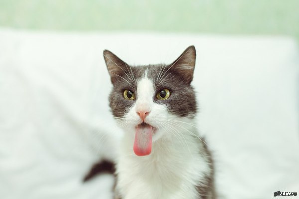 ������ :p