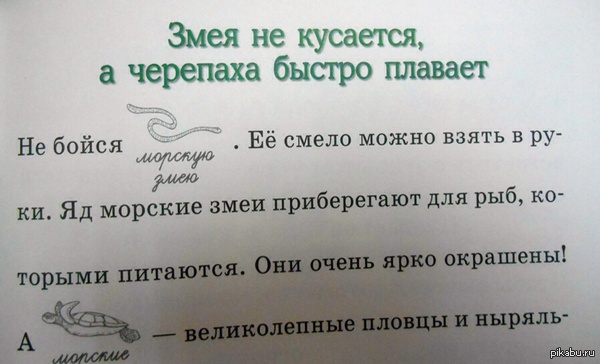 ������������� ������� ������.