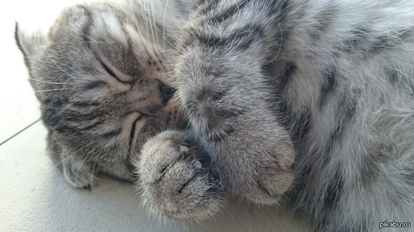 ������������ ������� ��������... �������, ��� ��� ����� ������� ��� � ���� :)