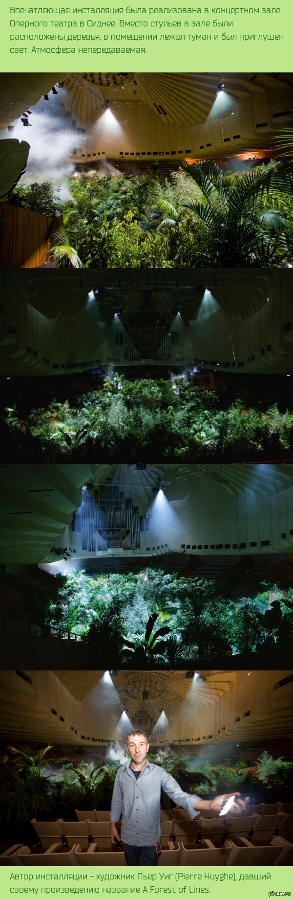     Pierre Huyghe, "A Forest of Lines"
