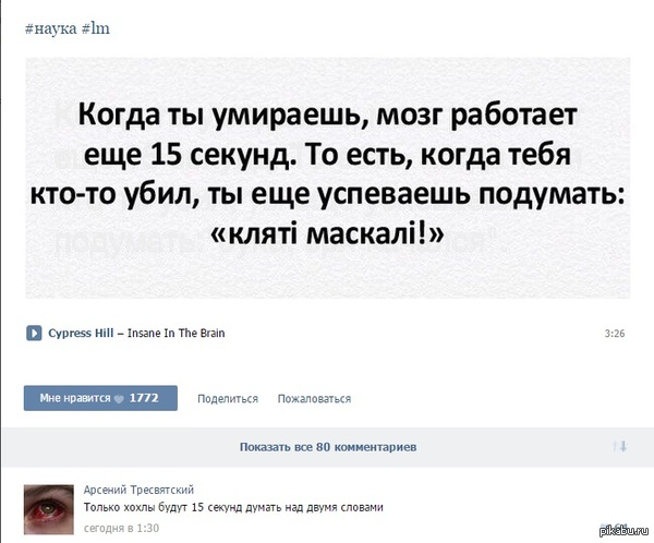 Мысли после смерти | Пикабу