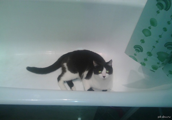 "Эй, парень, с другой стороны дверь закрыл."