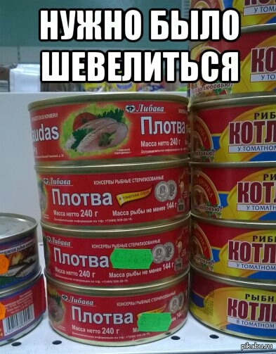 плотва на крыше мем. Смотреть фото плотва на крыше мем. Смотреть картинку плотва на крыше мем. Картинка про плотва на крыше мем. Фото плотва на крыше мем