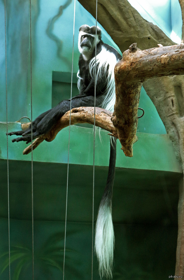 ������ ����� ����, � �� ��� �� �������