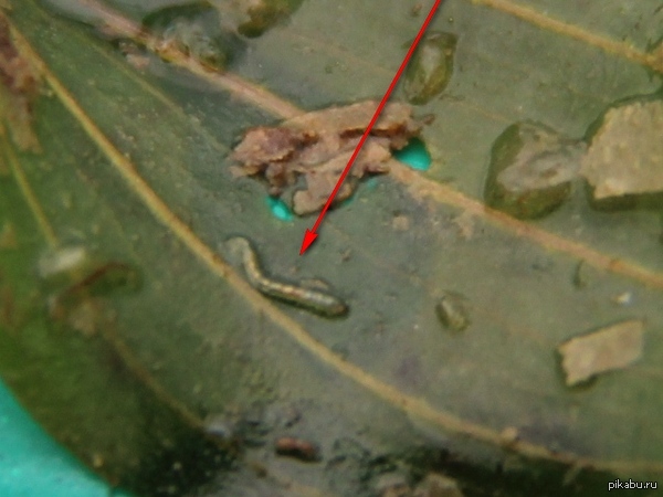  ,  ,    ?  . , .  ,  .   .