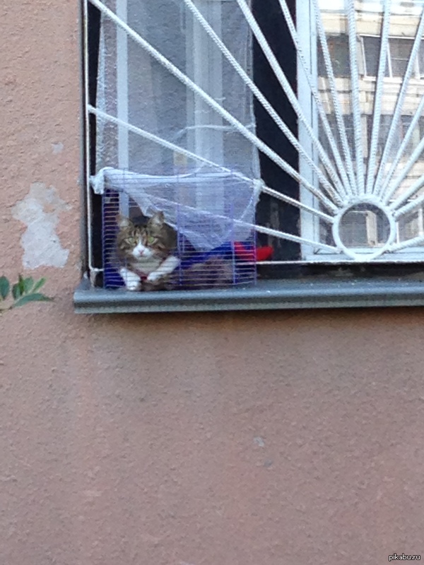 Когда мамка не пускает гулять