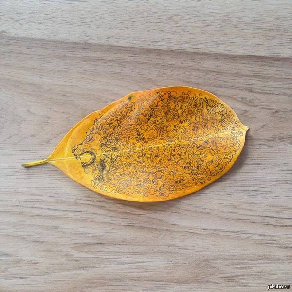 "��������� �� ����� �� Kerby Rosanes"