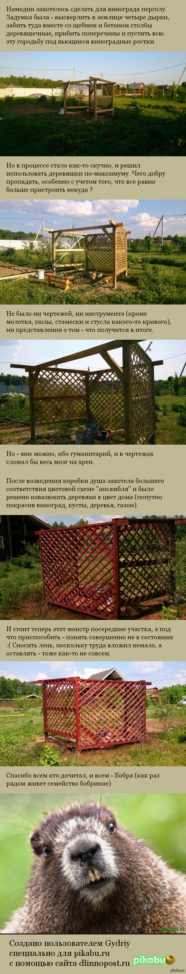 Понадобилась подпорка под виноград | Пикабу