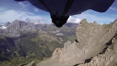   (Wingsuit)   
