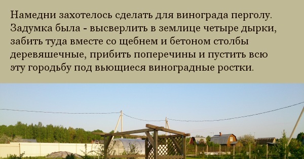 Понадобилась подпорка под виноград | Пикабу