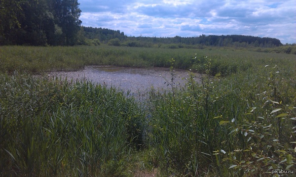 Лето, море, пляж ...