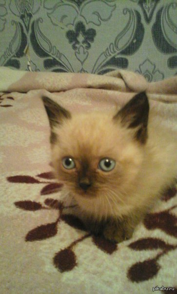 "������� �� ����� ���"