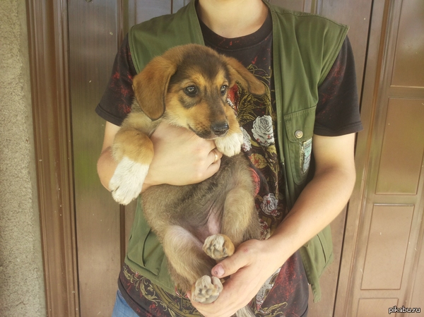 �������,���� ����� ����� ��������?