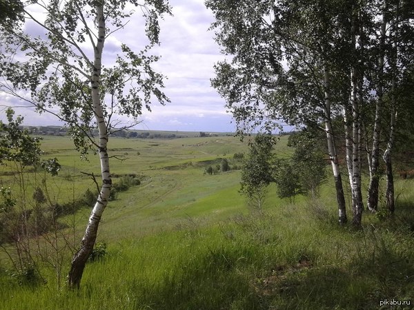 Нижегородская область