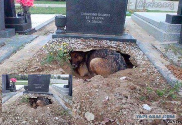 ��� ��� �����������...