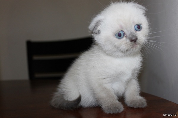 ����� ������ ����� ����-�� ��� ����