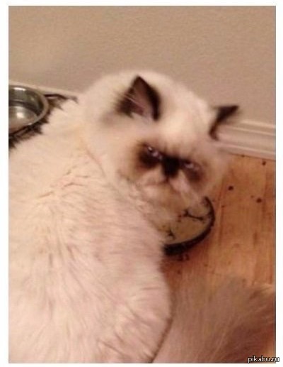 ����� ����� ��������� ������� ����