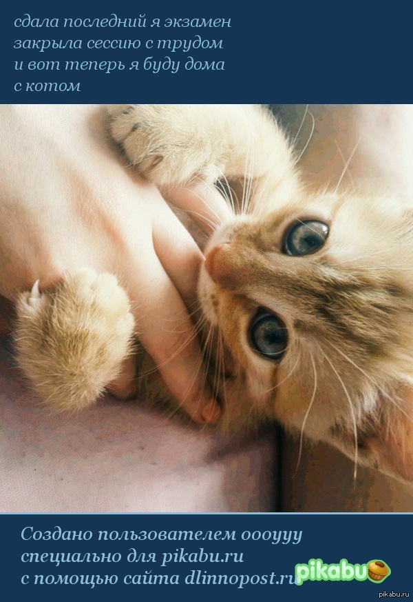 � ����������