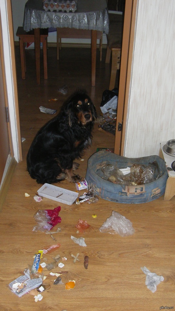 ��� ������� ����� �������?