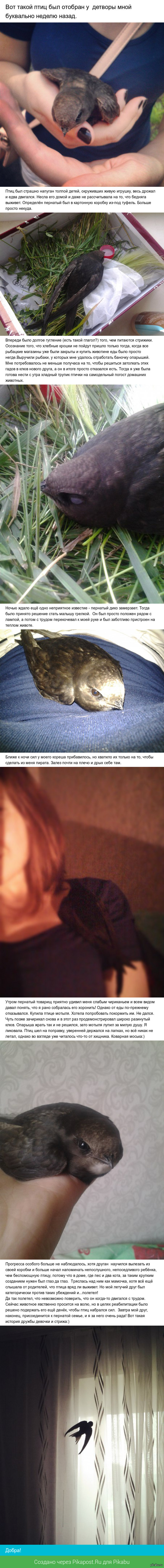 ������� � ���, ��� ������� ��� �� ������� �����������.